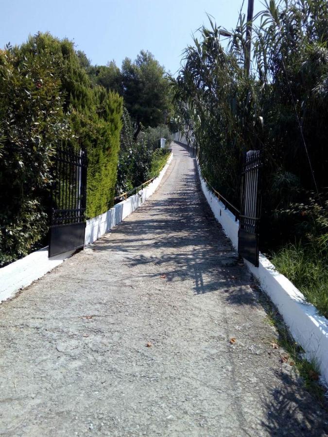 Villa Xanthippi Agia Paraskevi  Buitenkant foto