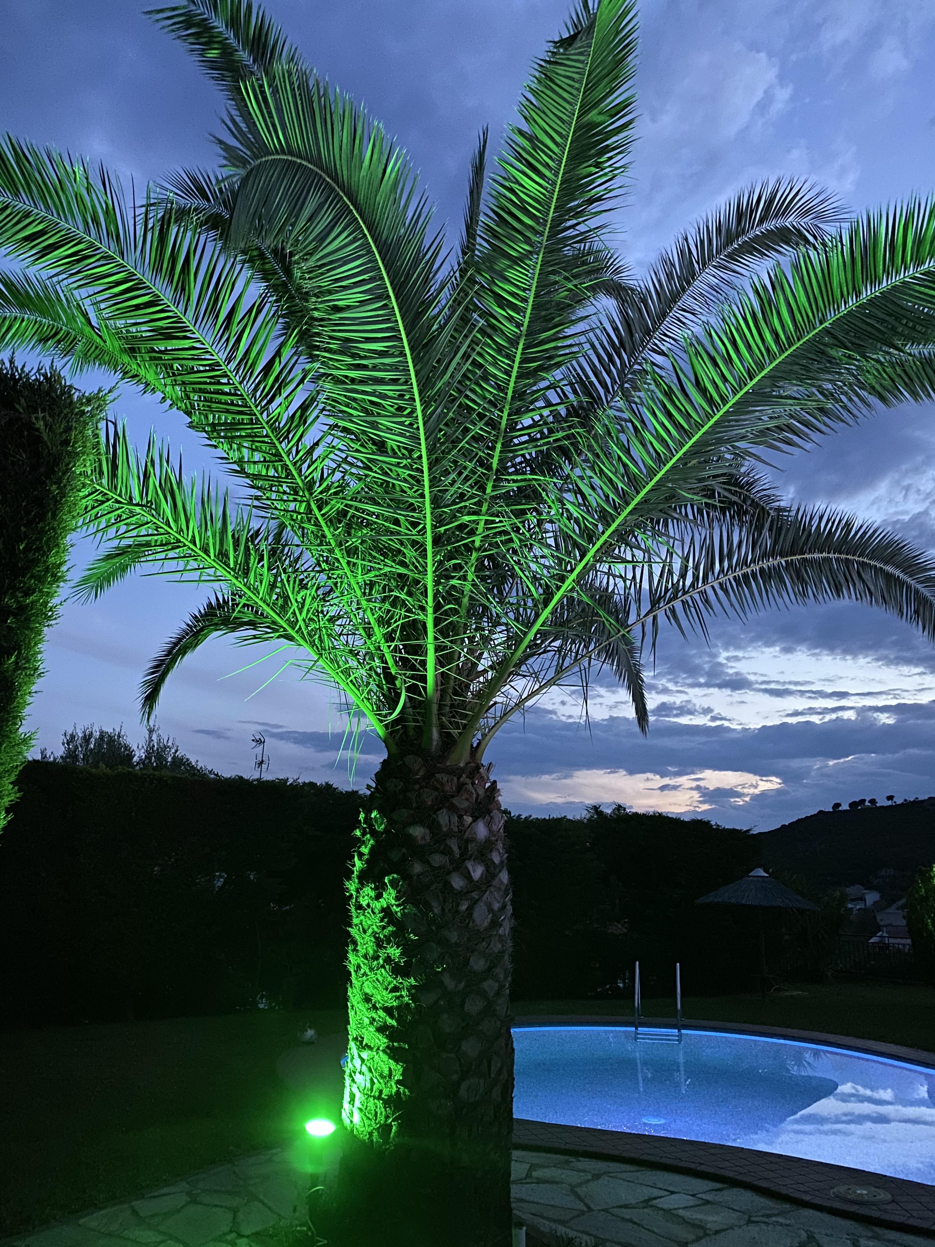 Villa Xanthippi Agia Paraskevi  Buitenkant foto
