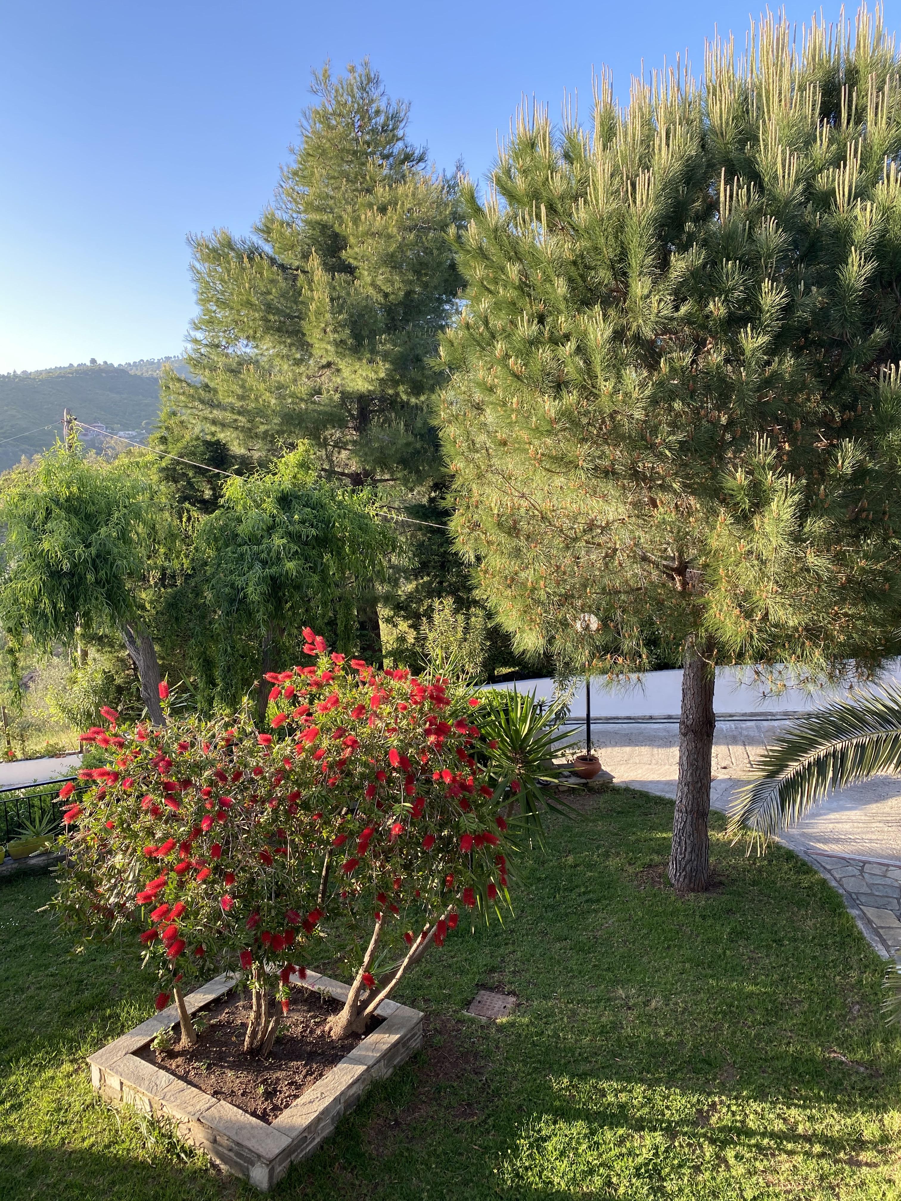 Villa Xanthippi Agia Paraskevi  Buitenkant foto